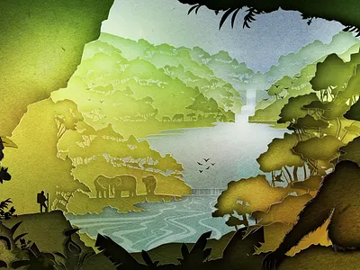 National Geographic Jungles 2d aftereffects design illustration vector