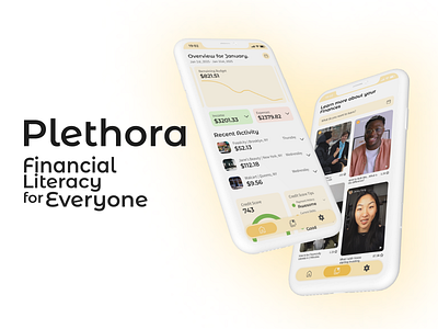 Plethora: Financial Education Platform graphic design product design ui ux ux design