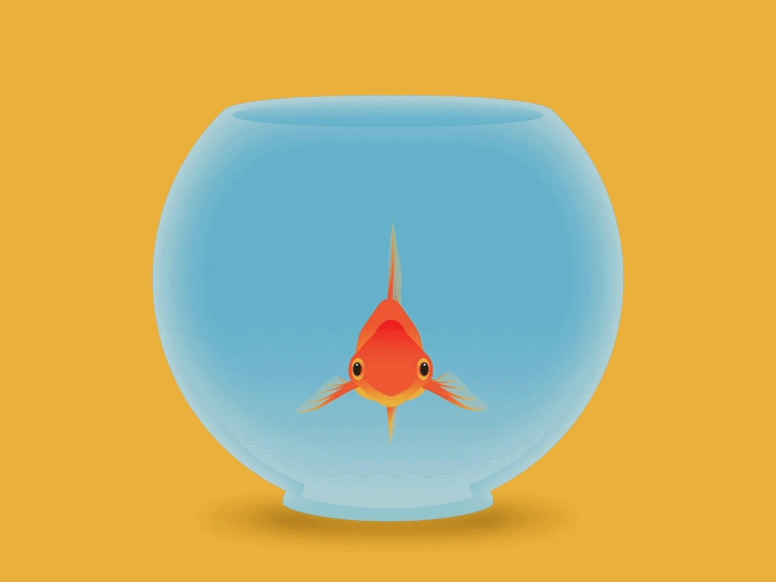 🐠🎳 animation design gif illustration sketch vector