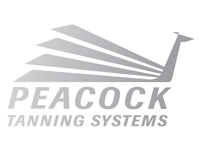 Peacock Tanning Systems branding graphic design identity logo small business startup web design