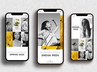 Chic Fashion Brand Concept animation branding design motion graphics typography ui ux web