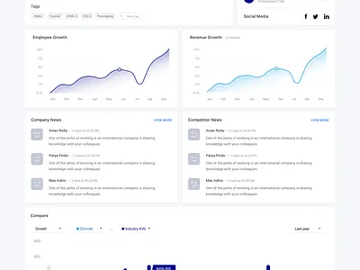 Private Equity Dashboard financial fintech web development website design