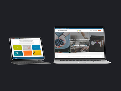 SENNS - Website Design & Build accessibility design graphic design resource platform web design