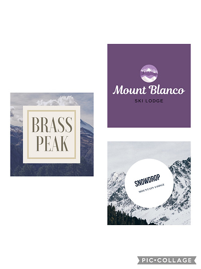 Day 8 of #dailylogochallenge canva dailylogochallenge day8 design logo logodesign ski