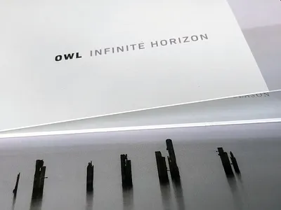 Silent Season CD - Owl Infinite Horizong cd