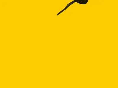 birds aren't real 2d 2d animation animated animation bird cel animation frame by frame illustration meme morphing photoshop traditional animation transformation