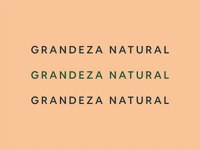 Type — Granat Labs 2021 brand design brand identity branding granat holistic lab organic rebranding typeface