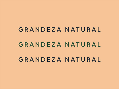 Type — Granat Labs 2021 brand design brand identity branding granat holistic lab organic rebranding typeface