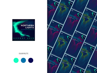 Cisco Northern Lights branding design logo