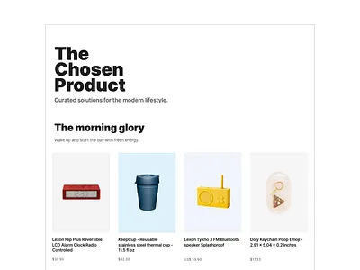 The Chosen Product clean concept store ecommerce lifestyle simple validation website design