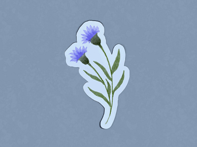 Cornflower Sticker cornflower design explore floral illustration line procreate shape sticker sticker effect vector