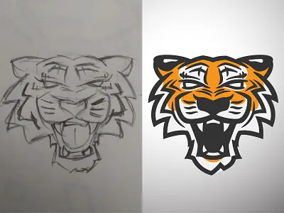 Tiger Sketch to Vector animals before and after cat kitty orange roar sketch teeth tiger tigers vector