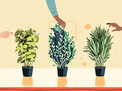 North Shore 2d animation animals animation character design colors design dinner dog dogs food herbs home kitchen lifestyle man nature pizza room wine woman