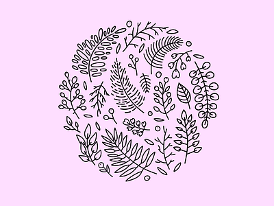 Vector botanical circle art berries black botanical branding clean color flower flowers illustration illustrator logo pink plants procreate sticker vector vector art vector illustration vectors