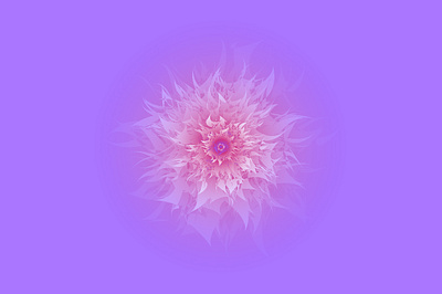 Flower background background design flowers illustration pink vector