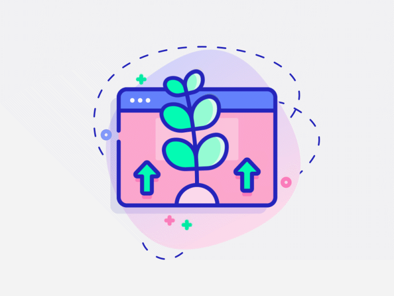 flower after effect animation flower icon illustration анимация