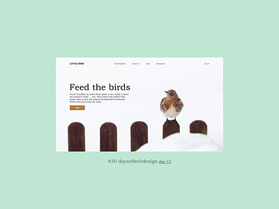 Feed the birds concept landingpage minimal ui user interface ux webdesign webdesigner website website design