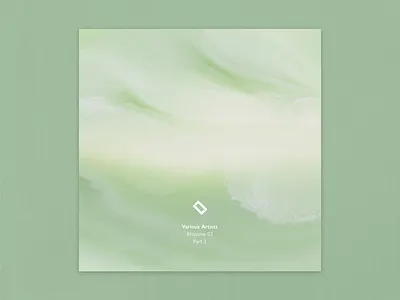 Various Artists - Rhizome 03 - Part 2 [Lowless] abstract artwork cover cover art cover artwork music
