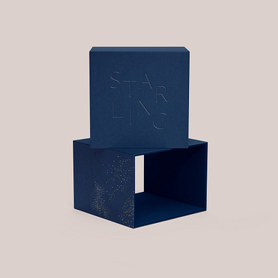 Jewelry Box Design brand design brandidentity branding design embossed identitydesign logo logodesign minimal packaging packaging design