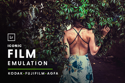 Film Emulation - Lightroom Presets camera raw presets creativemarket film emulation film look lightroom lightroom bundle lightroom preset photoshop presets presets download