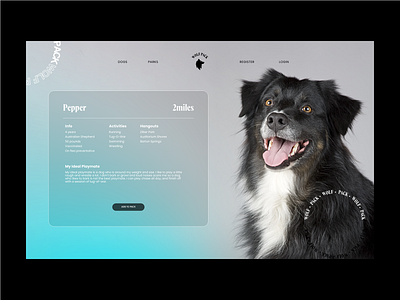 Wolf Pack Dog Profile design dogs minimal profile page ui ux web