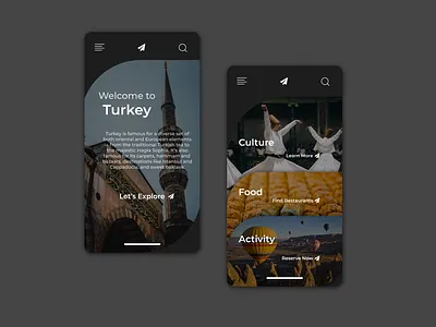 Daily UI 079 079 clean daily ui daily ui 079 daily ui 79 dailyui dailyuichallenge dark app darkmode figma figmadesign itinerary itinerary design minimal travel turkey ui user experience userinterface ux