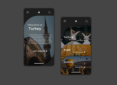 Daily UI 079 079 clean daily ui daily ui 079 daily ui 79 dailyui dailyuichallenge dark app darkmode figma figmadesign itinerary itinerary design minimal travel turkey ui user experience userinterface ux