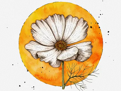 cosmos flower art bloom card drawing fantasy floral floral art flower flower illustration flowers hand painted illustration inviration moon painted petal