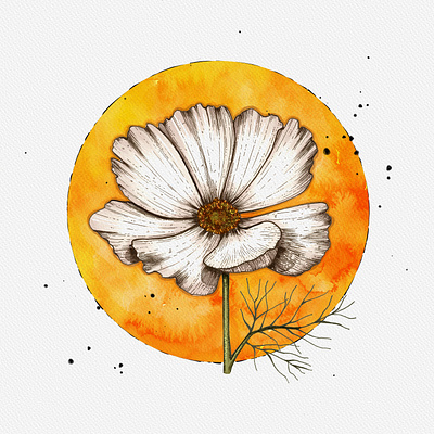 cosmos flower art bloom card drawing fantasy floral floral art flower flower illustration flowers hand painted illustration inviration moon painted petal