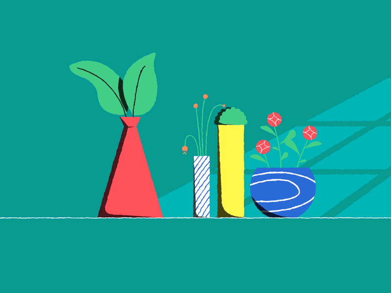 Plants animation illustration motion design motiongraphics vector