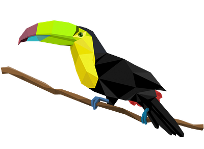 Polygon vector toucan