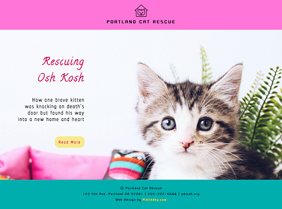 Cat Rescue Mock Home Page design typography webdesign