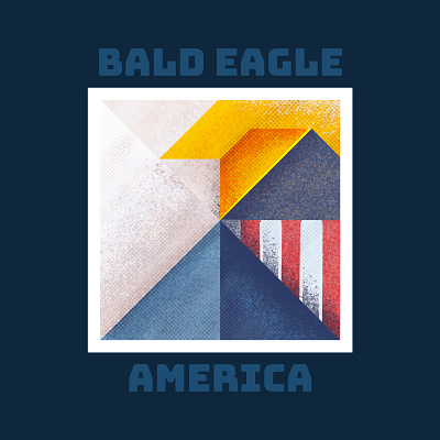 National Birds - Bald Eagle america bald eagle bird birds design feathers flag geometric graphic design illustration minimal national retro usa