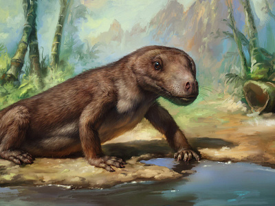 Bauria