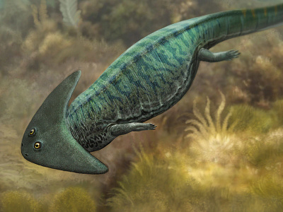 Diplocaulus magnicornis art direction artwork evolution illustration ocean ocean life paleo paleoart paleontology