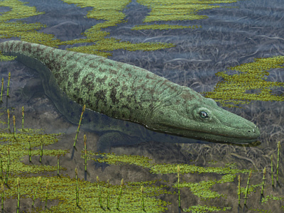 Mastodonsaurus art direction dinosaur evolution illustration ocean ocean life paleo paleoart paleontology