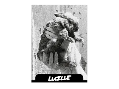 jackrabbit - branding & visual identity 2d graphics apparel apparel design band band logo band merch branding branding and identity creative direction merch merch design visual identity