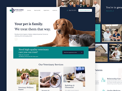 Vet Hospital Design animal animal hospital cat dog pet pet hospital vet vet hospital veterinary web design website design