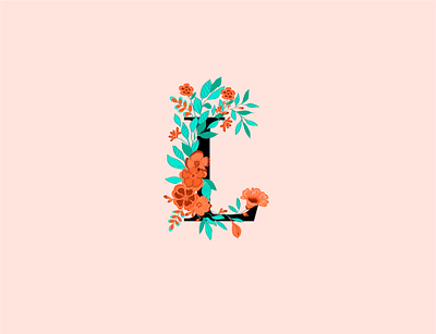 Letter design design graphic design illustration vector