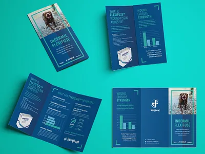 Tri-fold Flyer branding design flyer design illustration poster print tri fold brochure typography vector