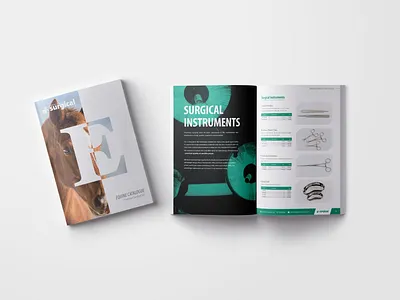 Equine Catalogue catalogue catalogue design design equine horse illustration print product catalogue typography vector