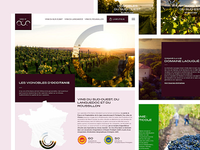 Vins d'occ - Webdesign beverage beziers food graphicdesign label languedoc montpellier occitanie roussillon toulouse vintage webdesign webdesigns website wine wine bottle wine glass wine label winery