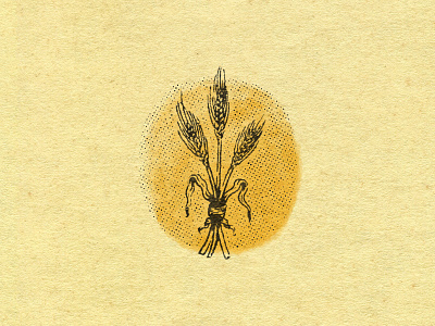 A Bouquet of Barley badge barley barley illustration beer branding beer brewery brand identity branding graphic design halftone pattern halftones illustration illustration art illustrator mark paper texture texture texture fiend texture obsession watercolor