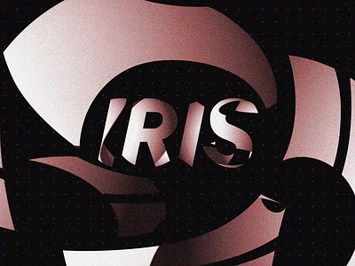 Iris logo ident animation No.15 3d animation animation branding cinema4d design illustration motion design motion graphics title sequence typography