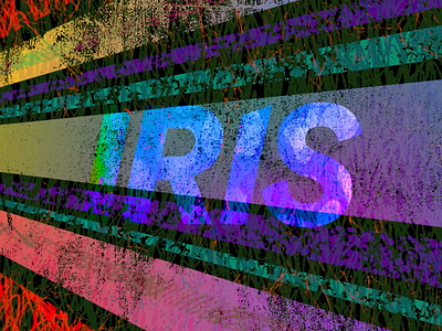 Iris logo ident animation No.13 animation design illustration motion design motion graphics title design