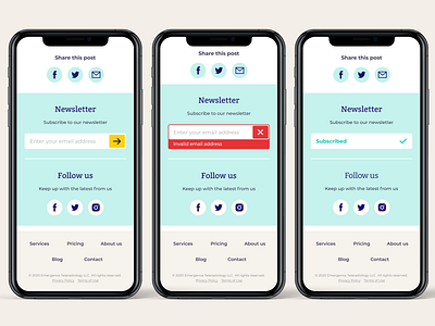 Subscribe to newsletter flow design error input follow us footer footer design medical medical app mobile design mobile ui newsletter social follow subscribe form subscribed ui