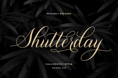 Shutterday calligraphy font handwrittenfont typography