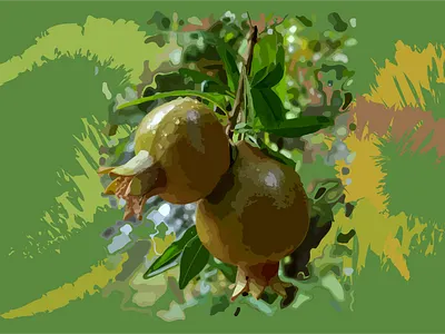 Fruits ona tree