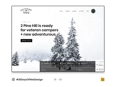 01 - 30 Instagram #30DaysOfWebDesign Challenge adobe illustrator branding figmadesign icon logo typography ui ux ui design web