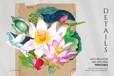 Hand-drawn Watercolor Lotus Flower asian flower drawing flower arrangement hand painting floral invitation flower lotus element lotus flower clipart lotus green leaf water lily clipart watercolor flower watercolor lily watercolor lotus wedding invitation